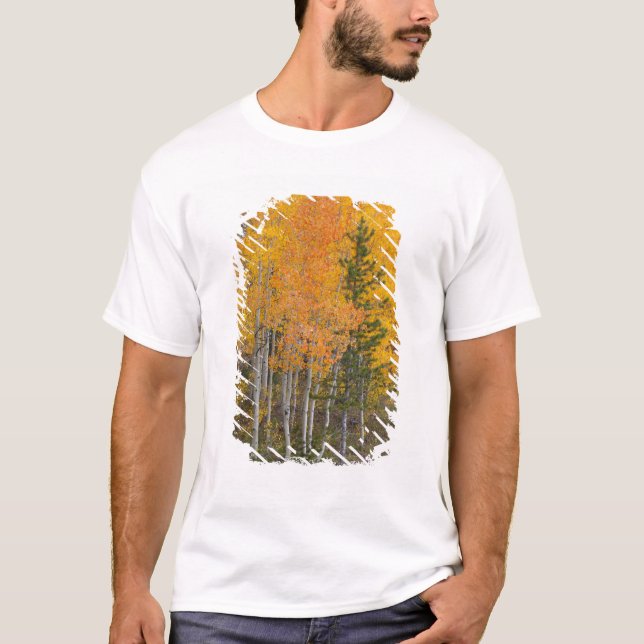 T-shirts Rio Provo e árvores de álamo (Frente)