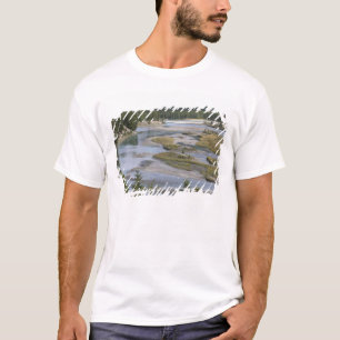 T-shirts Rios atravessam uma seção baixa de Jasper