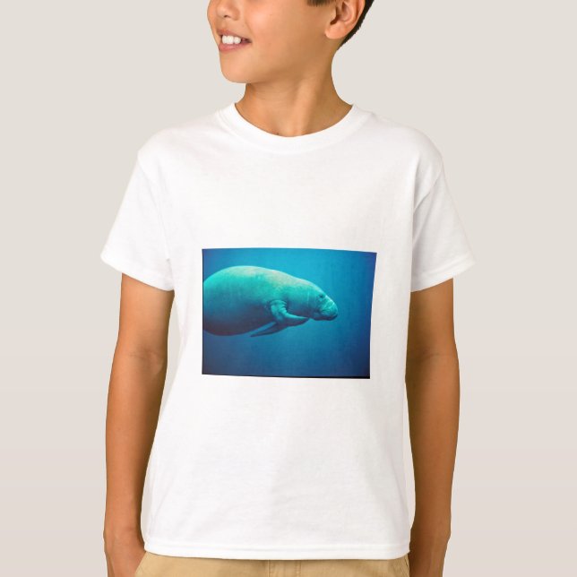 T-shirts Risco do peixe-boi (Frente)