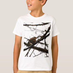 T-shirts Robilhão inglês gorducho