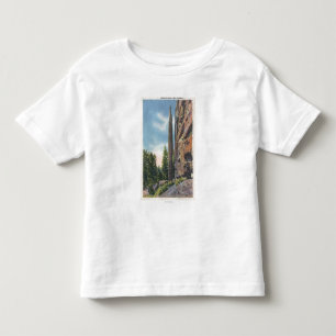T-shirts Rocha da chaminé na estrada de Cody, opinião de