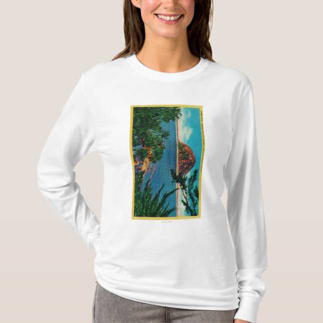 T-shirts Rocha de Morro em San Luis Obispo County (Frente)