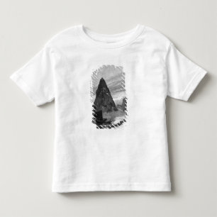 T-shirts Rocha do órfão pequeno no Rio Yangtzé