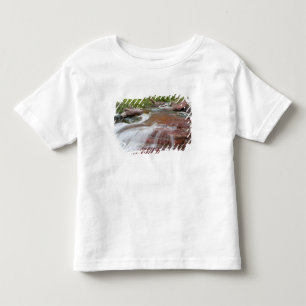 T-shirts Rocha vermelha em Baring Creek no Glacier National