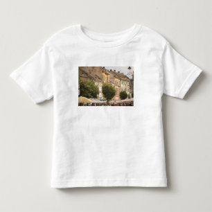 T-shirts Romênia, Sibiu. Cidade Nova. RF)