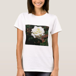 T-shirts Rosa Amarela Pálida