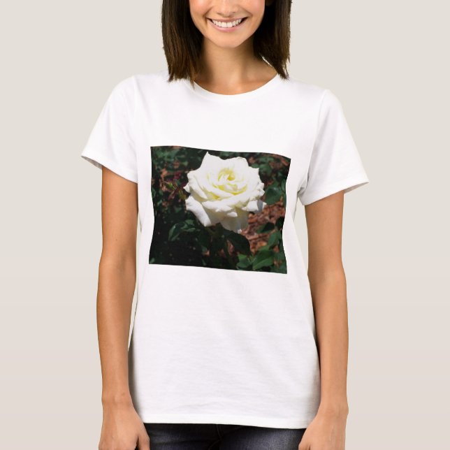 T-shirts Rosa Amarela Pálida (Frente)