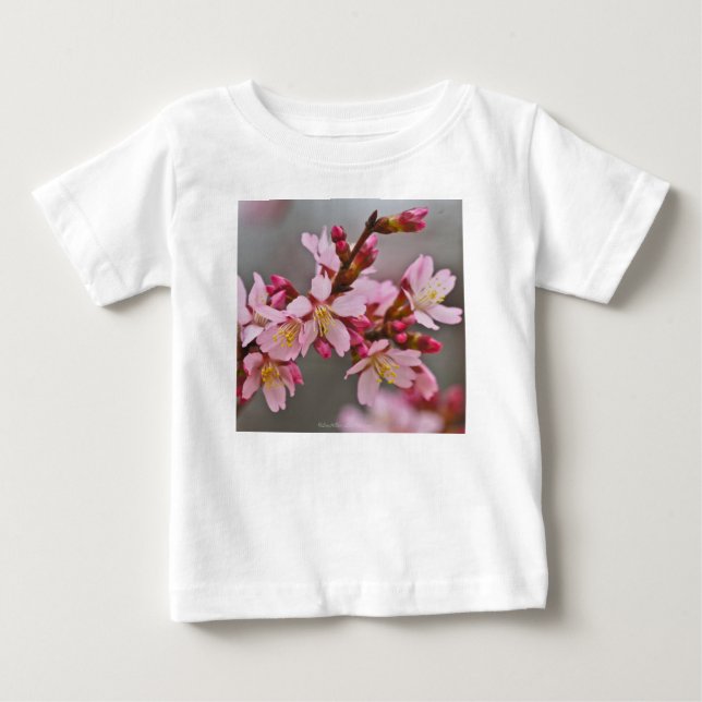 T-shirts Rosa Contra Uma Cinza Céu Japonês Blossomas De Cer (Frente)