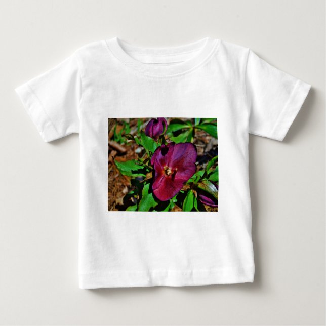 T-shirts Rosa de Lenten Rosa Burgundy (Frente)