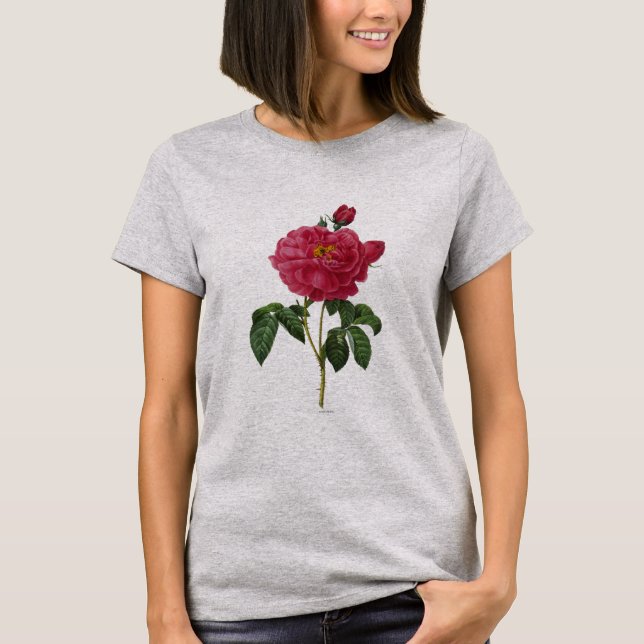 T-shirts Rosa Gallica (Frente)
