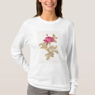 T-shirts Rosa Gallica Pontiana, 'dos rosas de Les