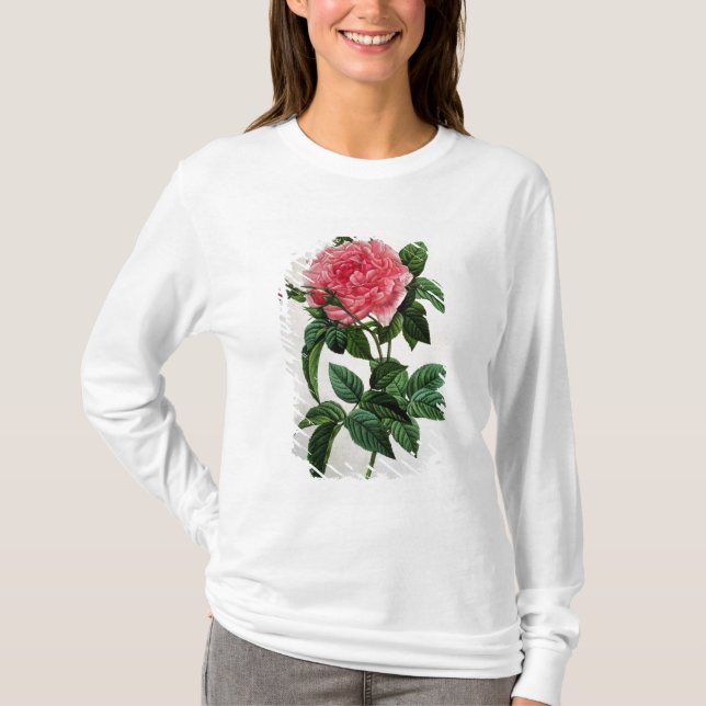 T-shirts Rosa Gallica Regallis (Frente)