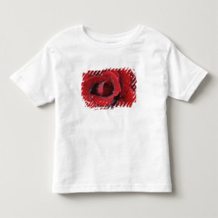 T-shirts Rosa vermelha coberta de orvalho decorando túmulo 