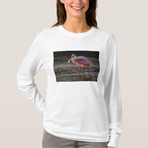 T-shirts Roseate Spoonbill, Ajaia ajaja, Querido Ding