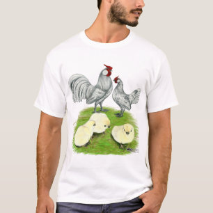 T-shirts Rosecomb Bantams e Pintinhos