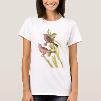 T-shirts Rosefinch Vermelho-envolvido