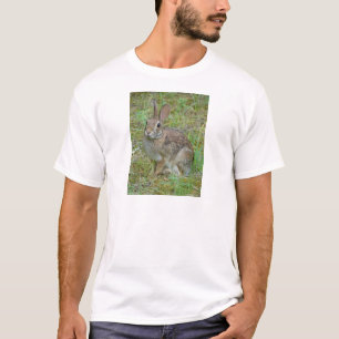 T-shirts Roupas e Presentes do Coelho Selvagem do Leste