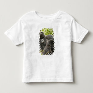 T-shirts Ruanda, Parque Nacional dos Vulcões