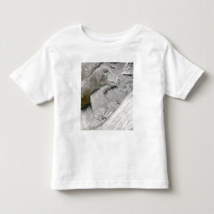 T-shirts Ruas da nuvem fora de Nova Inglaterra e do