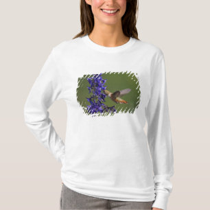 T-shirts Rufous Hummingbird