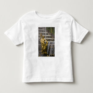 T-shirts Rússia, Ruas. Petersburgo, Peterhoff (também con