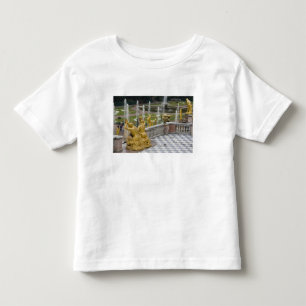 T-shirts Rússia, São Petersburgo, Peterhoff (também conheci