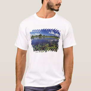 T-shirts S.A., Brasil, Vias navegáveis no Pantanal