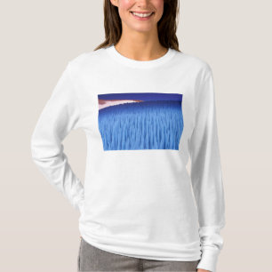 T-shirts SA, Chile, Região de Coquimbo, Nieve Penitente;