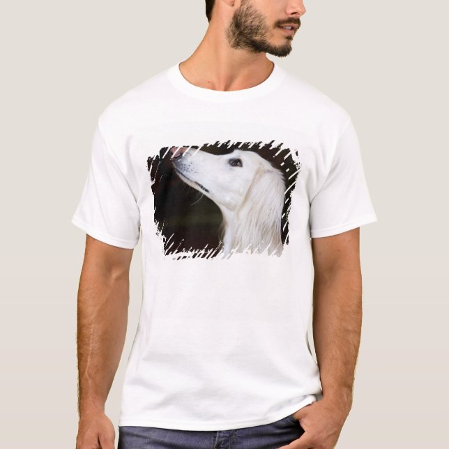 T-shirts Saluki que olha acima (Frente)
