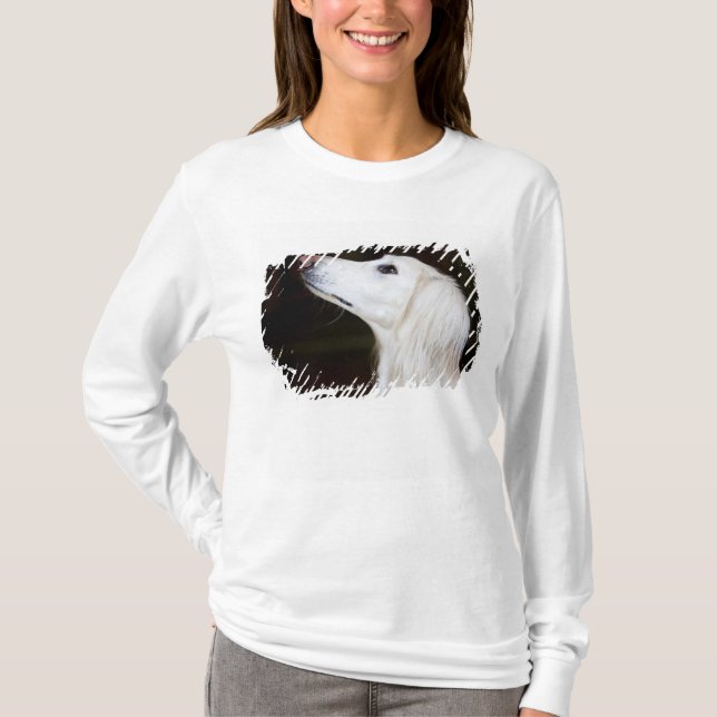 T-shirts Saluki que olha acima (Frente)
