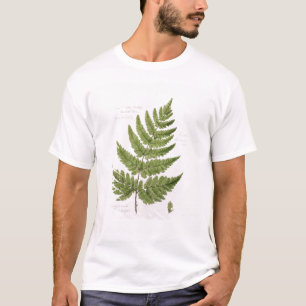 T-shirts Samambaia de broquel Espinhoso-dentada larga,