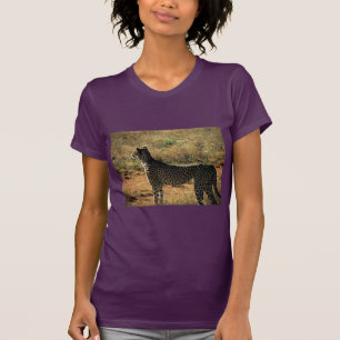 T-shirts Samburu Cheetah
