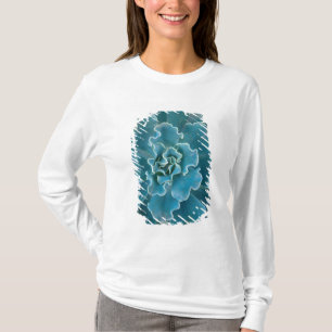 T-shirts San Francisco California Ouro Gate Park e