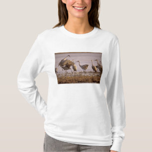 T-shirts Sandhill Cranes Grus canadensis)