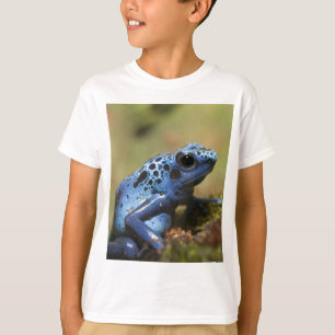 T-shirts Sapo azul do dardo do veneno