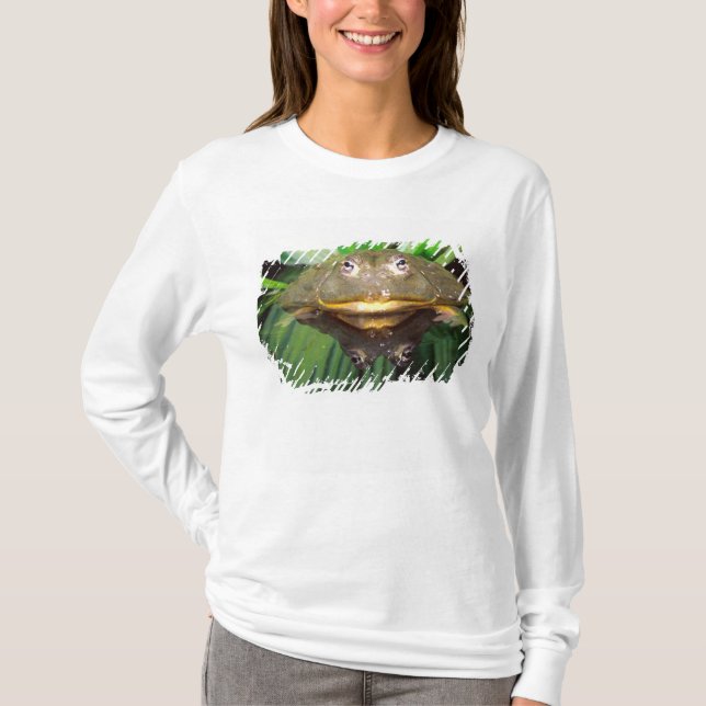 T-shirts Sapo Burrolante Africano, Pyxicephalus 2 (Frente)