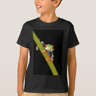 T-shirts sapo de árvore eyed vermelho