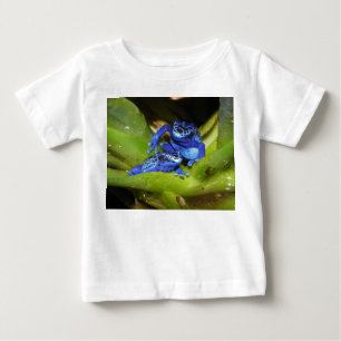 T-shirts Sapos azuis do dardo do veneno na folha 1