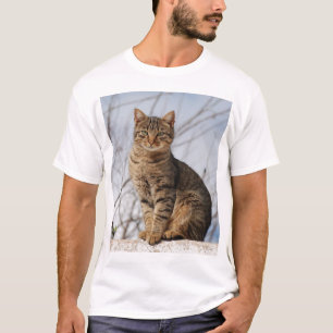 T-shirts Sarda Tabby Cat