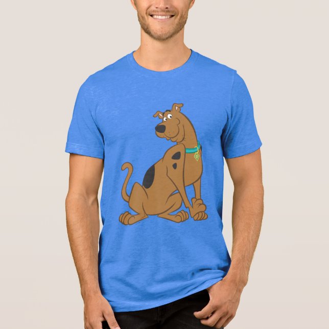 T-shirts Scooby-Doo Bashful Pose (Frente)