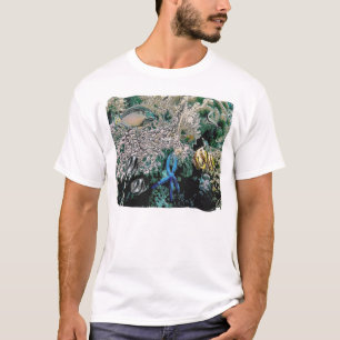 T-shirts seastar azul