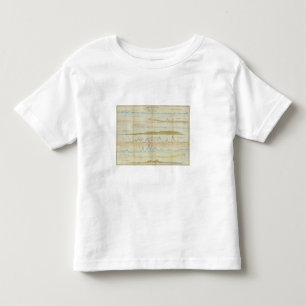 T-shirts Seções verticais de Maine