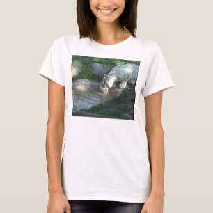 T-shirts sedento