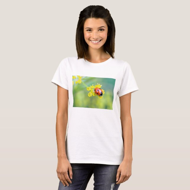 T-shirts senhora no topo (Frente Completa)