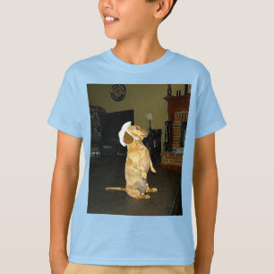 T-shirts Sentado Bonito ou assistindo TV Dachshund