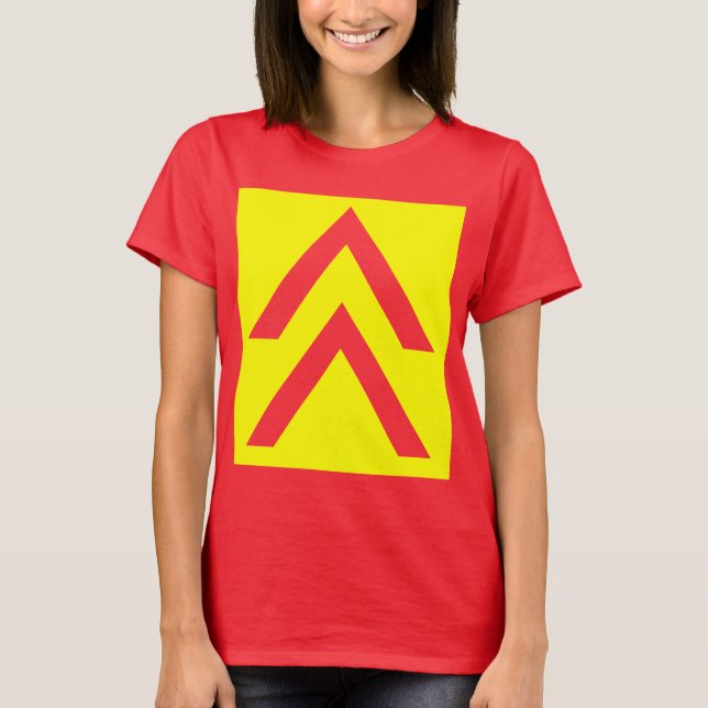 T-shirts Seta Dupla (Frente)