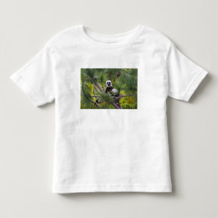 T-shirts Sifaka de Coquerel na floresta