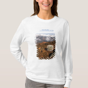 T-shirts Silversword no cume da cratera Haleakala a partir 