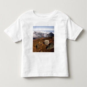 T-shirts Silversword no cume da cratera Haleakala a partir