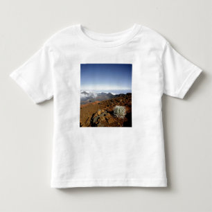 T-shirts Silversword no cume da cratera Haleakala de perto